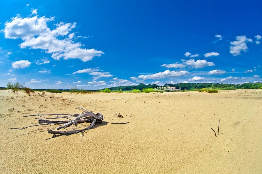 Błędowska Desert (source: 2012.skandiamarton.pl)